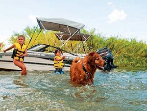 アリゾナ西部に流れるコロラド川で楽しそうに遊ぶ子供たちと犬