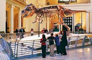 アメリカ最大級のティラノサウルスの化石「スー」が展示されているThe Field Museum