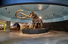 La Brea Tar Pits and Museum