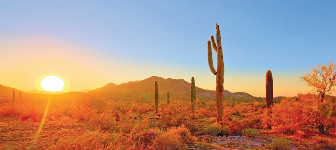 アリゾナ観光 ネイティブアメリカンの聖地 西部の文化を味わう旅 アメリカを満喫する1週間観光旅行 現地情報誌ライトハウス