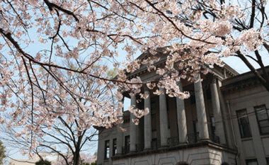 青山学院大学