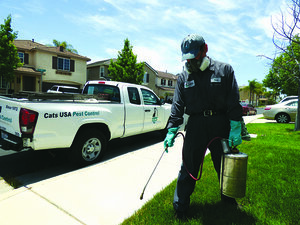 Cats USA Pest Control