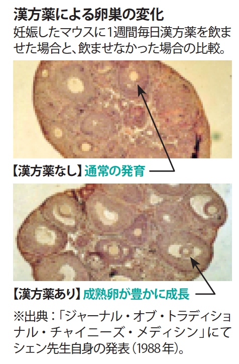 ShenImage03