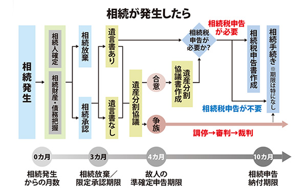 TOMA_Image_02