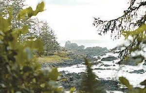 冷泉コラム（バンクーバー、将軍ロケ地）