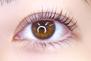 Eyelinq_image02