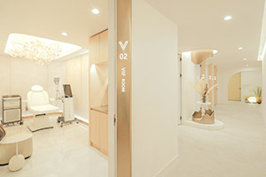 VLine_image02