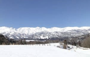 冷泉コラム_買い負け