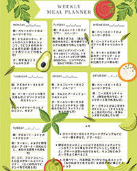 Sungreen_image06