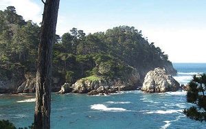 Point Lobos State Natural Reserve