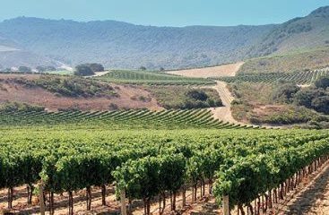 Lompoc Wine Trail