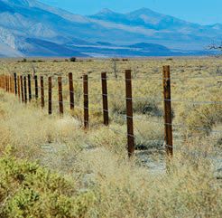 Manzanar National Historic Site