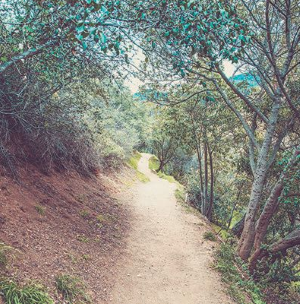 Temescal Canyon LoopTrail