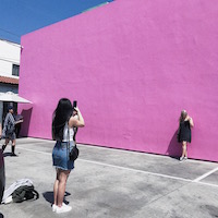 Pink Wall 撮影風景画像