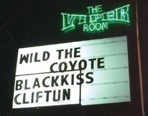 The Viper Room