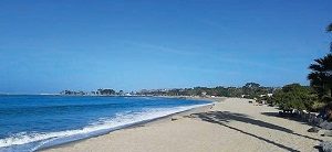 Doheny State Beachキャンプサイト