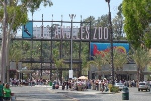 Los Angeles Zoo