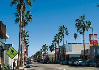 ロサンゼルスらしくヤシの木が並ぶアボット・キニー通り