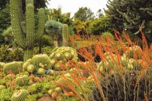 The Huntington Library, Art Collection, and Botanical Gardens