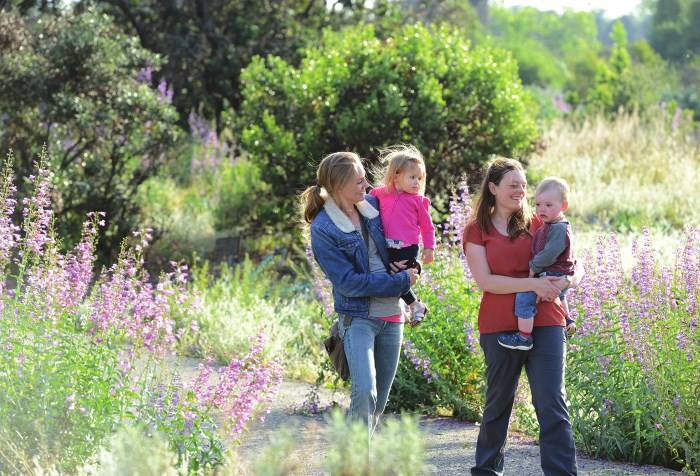 Rancho Santa Ana Botanic Garden