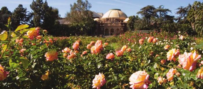 Exposition Park Rose Garden