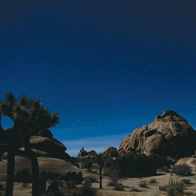 ジョシュアツリー国立公園（Joshua Tree National Park）