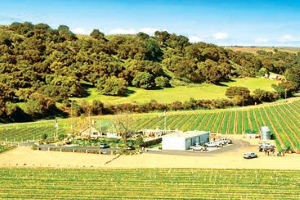 サンタバーバラのワイナリー Riverbench Vineyard & Winery