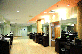 Wilshire Spa