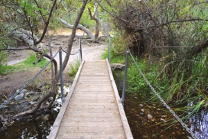 B地点（Los Penasquitos Canyon Preserve）