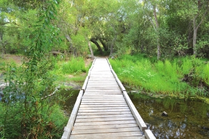 E地点（Los Penasquitos Canyon Preserve）