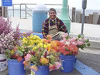 Farmers Marketで販売されている花