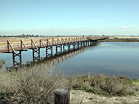 Bolsa Chica Ecological Reserveの眺めの良いバードウォッチングポイント