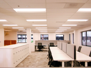 Daizu Open Office Planning